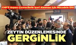 Zeytin Düzenlemesinde Gerginlik