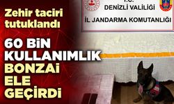 60 bin kullanımlık bonzai ele geçirdi