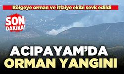 Acıpayam’da orman yangını