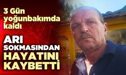 Arı sokmasından hayatını kaybetti
