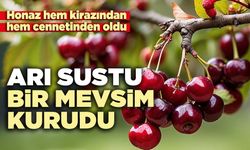 Arı sustu bir mevsim kurudu