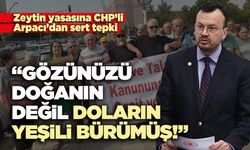 Arpacı: “Gözünüzü doğanın değil doların yeşili bürümüş!”