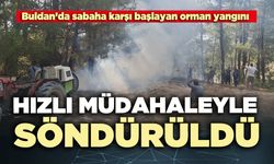 Orman yangını hızlı müdahaleyle söndürüldü