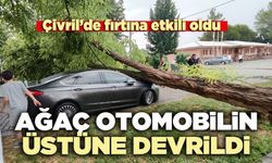 Çivril’de ağaç otomobilin üstüne devrildi