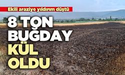 Ekili araziye yıldırım düştü 8 ton buğday kül oldu