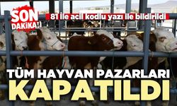 Tüm hayvan pazarları kapatıldı