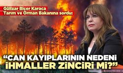 Gülizar Biçer Karaca: “Can kayıplarının nedeni ihmaller zinciri mi?”