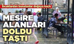 Mesire alanları doldu taştı