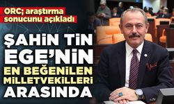 Şahin Tin, Ege’nin en beğenilen milletvekilleri arasında