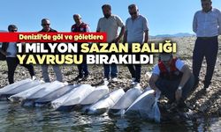 Denizli’de göl ve göletlere 1 milyon sazan balığı yavrusu bırakıldı