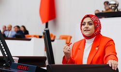 Sema Silkin Ün: "Sağlık sistemindeki hiçbir soruna çözüm üretilmiyor"