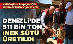 Denizli’de 511 bin ton inek sütü üretildi