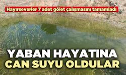 Yaban hayatına can suyu oldular