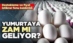 Yumurtaya zam mı geliyor?