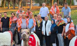 Yörük ruhu yeniden canlandırıldı