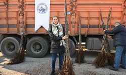 Cevizin başkenti artık Denizli
