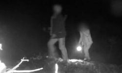 3 kaçak avcı gece avında fotokapanla yakalandı