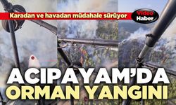 Acıpayam’da orman yangını