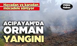 Acıpayam’da orman yangını
