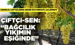 Çiftçi-Sen’den “Bağcılık Yıkımın Eşiğinde” Uyarısı
