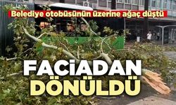 Faciadan dönüldü; Belediye otobüsünün üzerine ağaç düştü