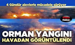 Orman yangını havadan görüntülendi
