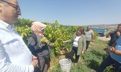 CHP’li Karaca’dan Tarım Bakanlığı’na sert tepki