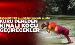 Çal’da Kuru Dereden Kınalı Koçu Geçirecekler