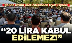 Çal’da üzüm üreticilerinden fiyat isyanı: “20 lira kabul edilemez!”