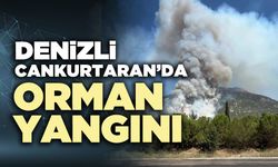 Denizli Cankurtaran’da orman yangını