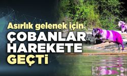 Asırlık gelenek için çobanlar harekete geçti
