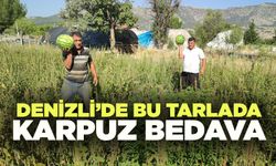 Denizli’de Bu Tarlada Karpuz Bedava