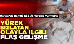 Denizli’de Hamile Köpeği Tüfekle Vuran Şahısla İlgili Flaş Gelişme