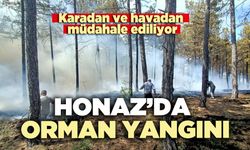 Honaz’daki orman yangını