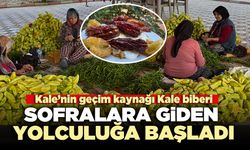 Kale biberinin sofralara giden yolculuğa başladı