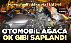 Otomobil ağaca ok gibi saplandı: 2 kişi öldü