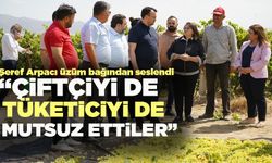Şeref Arpacı üzüm bağından tepki gösterdi