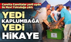 Yedi kaplumbağa, yedi hikâye