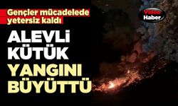 Alevli kütük yangını büyüttü