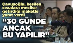 Çavuşoğlu, kesilen  cezalara meclise  getirdiği maketle  yanıt verdi: "30 günde ancak bu yapılır"