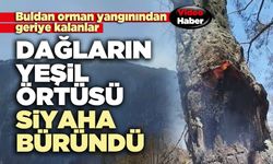 Dağlarının yeşil örtüsü siyaha büründü