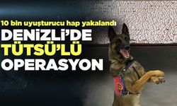 Jandarmadan Denizli’de Tütsü’lü Operasyon