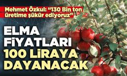 Elma fiyatları 100 liraya dayanacak