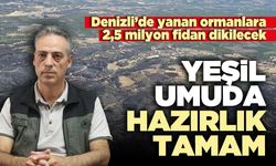 Yeşil umuda hazırlık tamam: Yanan ormanlara 2,5 milyon fidan dikilecek