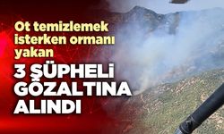 Ot temizlemek isterken ormanı yakan 3 şüpheli gözaltına alındı