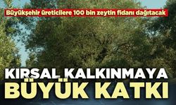 Denizli’de üreticilere 100 bin zeytin fidanı desteği: Kırsal kalkınmaya büyük katkı