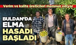 Buldan’da elma hasadı başladı