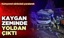Kaygan zeminde yoldan çıktı Kamyonet sürücüsü yaralandı