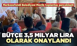 Merkezefendi Belediyesi 2026 bütçesi 3,5 milyar lira olarak onaylandı