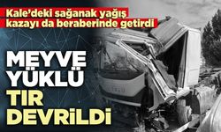 Meyve yüklü tır devrildi